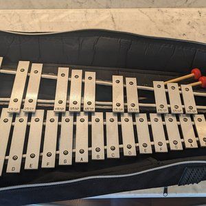 Xylophone and case